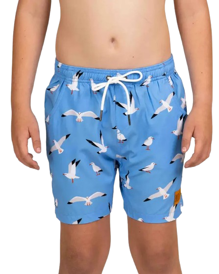 Classic Swim Shorts