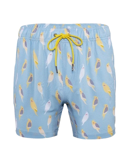 Men's Clearance Shorts